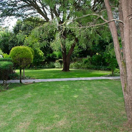 Chez Nous Bed And Breakfast & Self Catering 던디 외부 사진