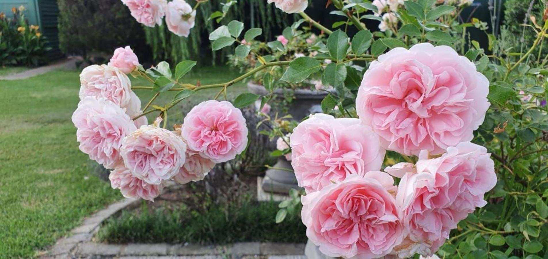 Chez Nous Bed And Breakfast & Self Catering 던디 외부 사진
